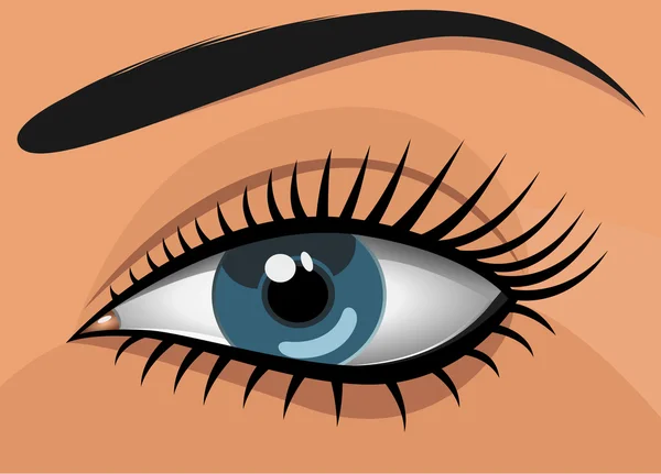 Kvinna blå öga — Stock vektor