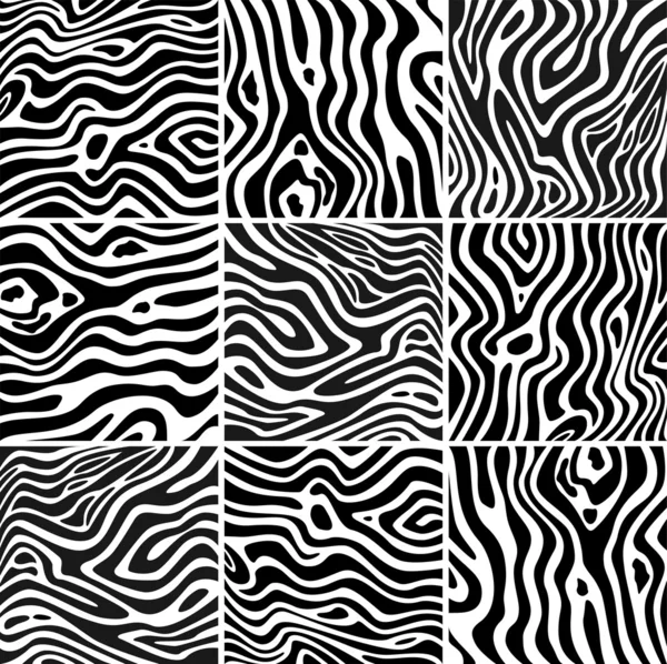 Ange zebra textur svart och vitt — Stock vektor