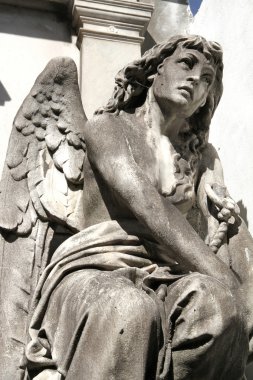 Statue in the Cemetery of Recoleta clipart