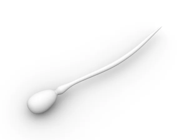 Sperm hücresi — Stok fotoğraf