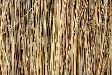 Straw Texture clipart