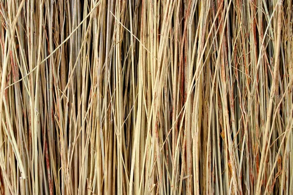 Straw Texture — Stock Photo, Image