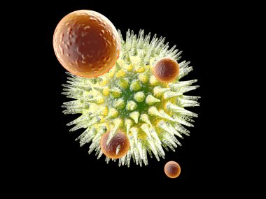 Virus vs Immune system clipart