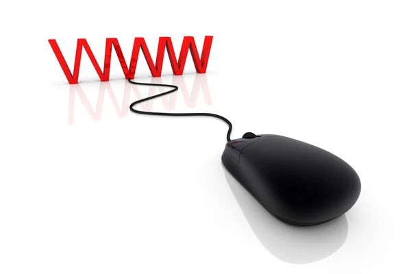 WWW Connection — Stock Photo, Image