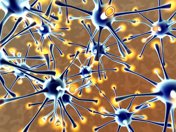 神经元网络 — 图库照片