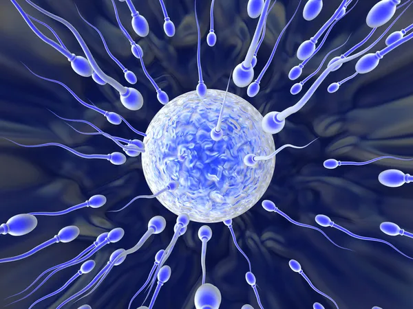 Ataque de esperma — Fotografia de Stock