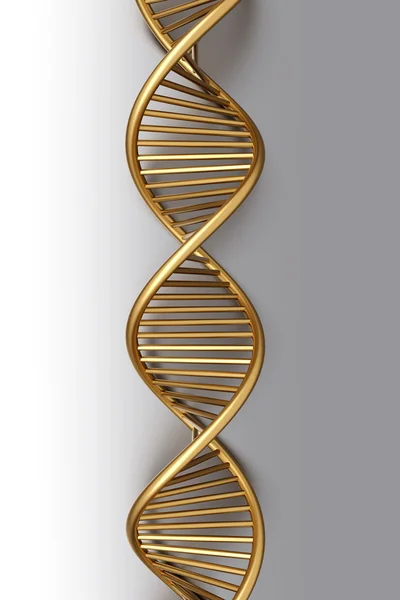 Nici DNA — Zdjęcie stockowe