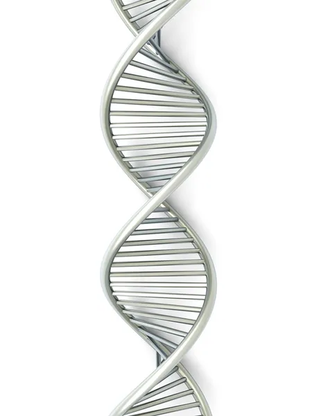 ДНК-цепь — стоковое фото