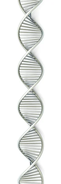 ДНК-цепь — стоковое фото