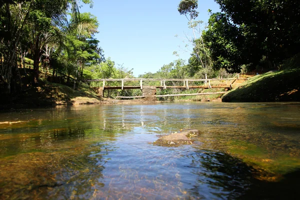 River in Bahia — Stock Photo, Image