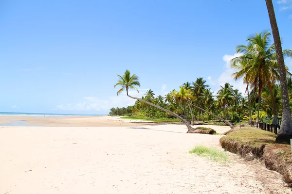 Beach of Bahia — Stock Photo, Image