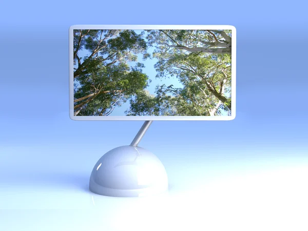 Design-Bildschirm - Eukalyptusbäume — Stockfoto