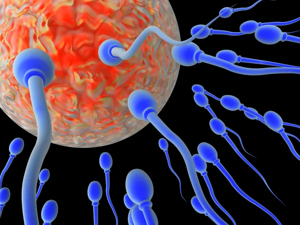 Células de esperma a caminho do ovo. Renderização 3D de alta resolução . — Fotografia de Stock