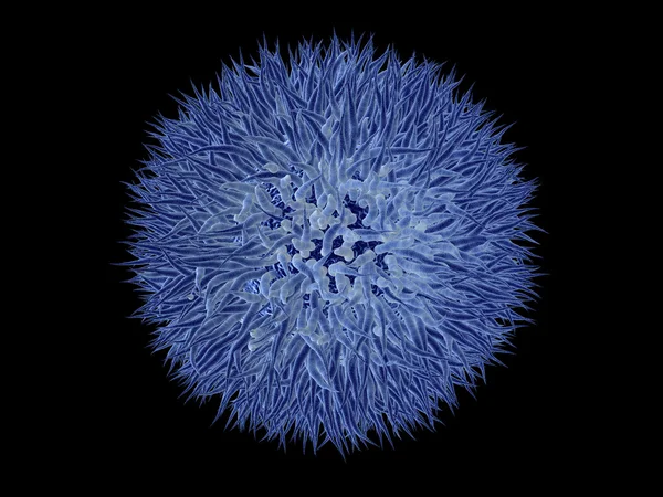 Вирус - изолирован на черном — стоковое фото