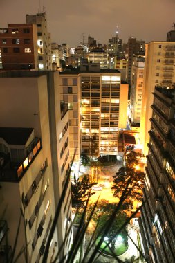 Sao Paulo at night clipart