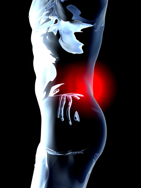 背痛-解剖 — 图库照片