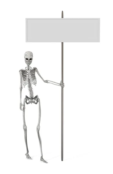 Promoção do esqueleto — Fotografia de Stock