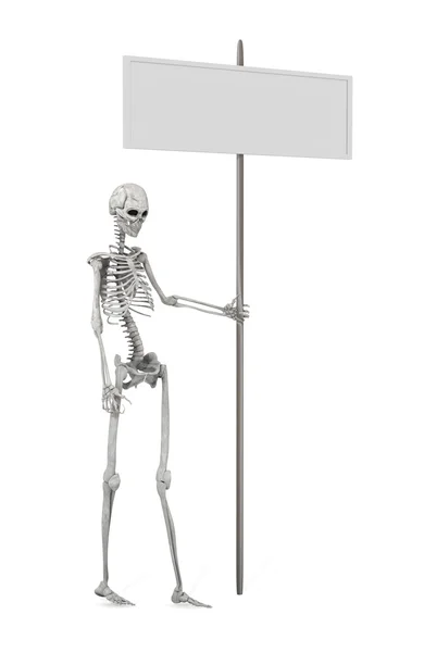 Skeleton promotie — Stockfoto