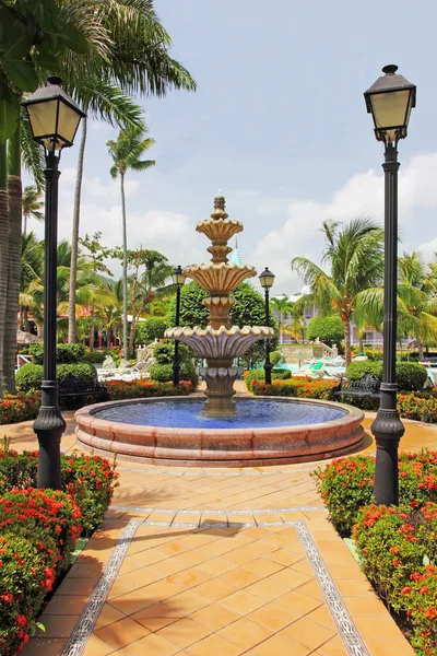 stock image Beautiful Ornamental Tropical Gardens