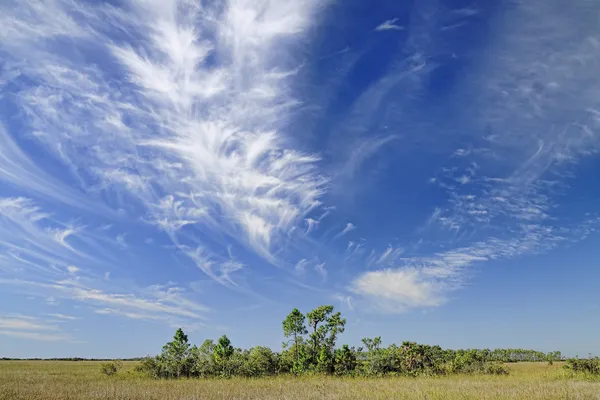 Nubes Cirrus sobre los Everglades de Florida — Foto de Stock
