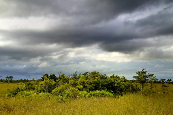 Storm over de everglades - 2 — Stockfoto