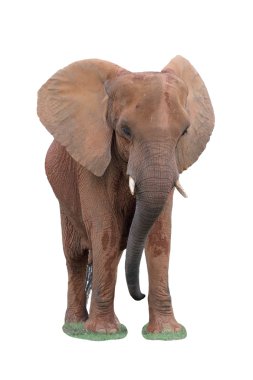 Asian Elephant clipart