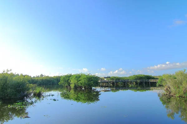Passerella nelle Everglades — Foto Stock