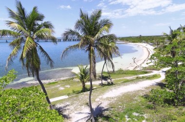 Bahia Honda Key - 2 clipart