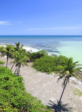 Bahia honda anahtar - 1