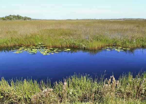 Everglades Landscape, Blue Canal — Stock Photo, Image