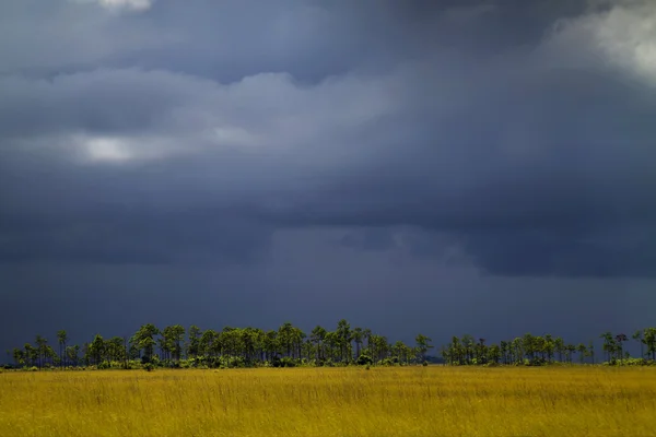 Storm Over the Everglades - 3 — Stock Photo, Image