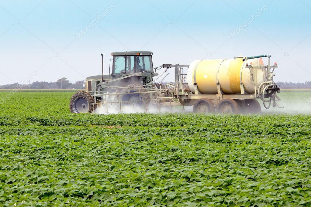Spraying Pesticides - 4