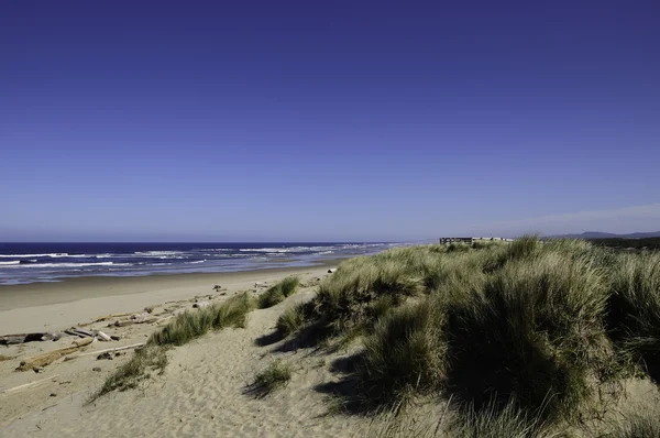 stock image Sand Dunes