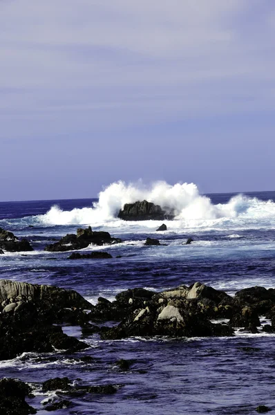 Pasifik Okyanusu — Stok fotoğraf