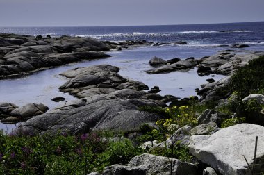 Near Peggys Cove clipart