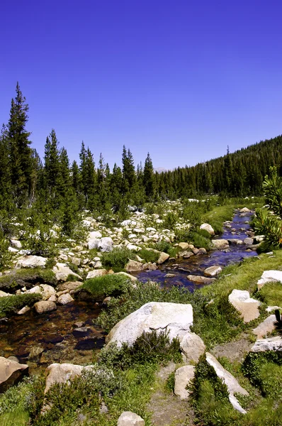 High Sierra Stream — Stock Photo, Image