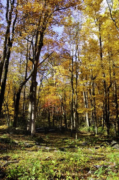 Podzim v Nové Anglii — Stock fotografie