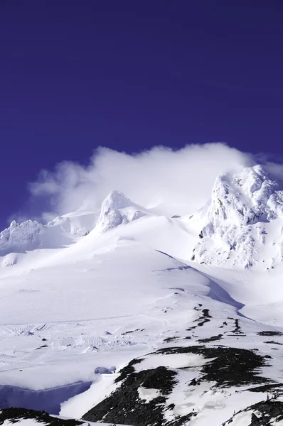 Mt. hood convered karda — Stok fotoğraf