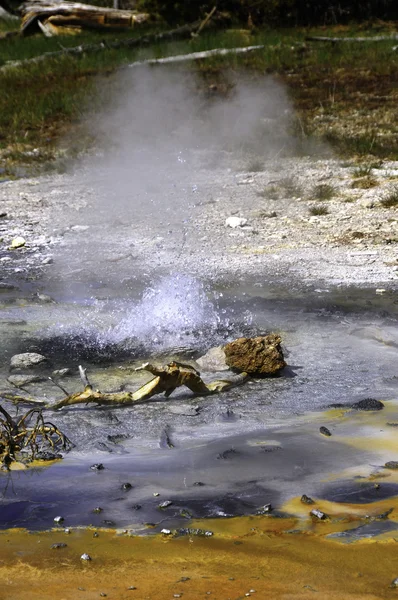 Bubbling Minute Geyser — Stock Photo, Image