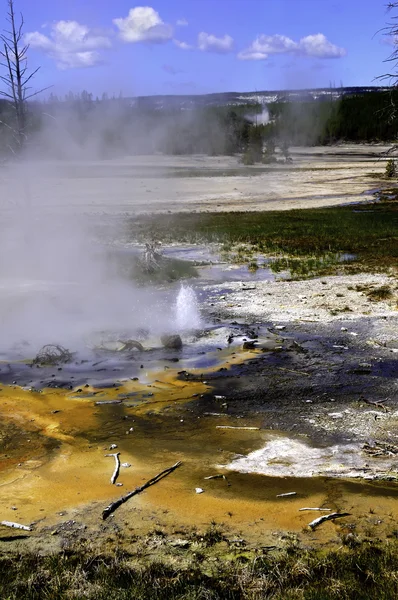 Minute Geyser, parc national Yellowstone — Photo
