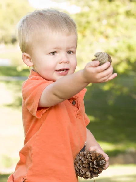Bonito jovem menino com pinheiro cones no o parque — Fotografia de Stock