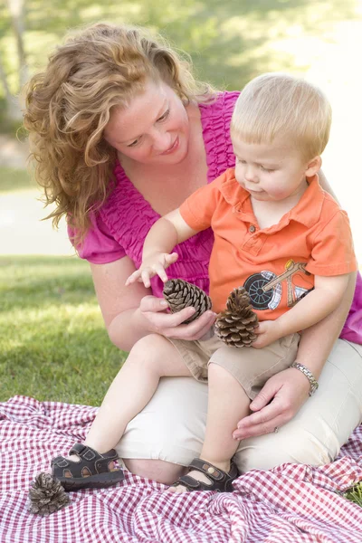 Moeder en zoon praten over dennenappels in park — Stockfoto