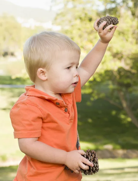 공원에서 소나무 콘과 함께 귀여운 어린 사내 아이 — 스톡 사진