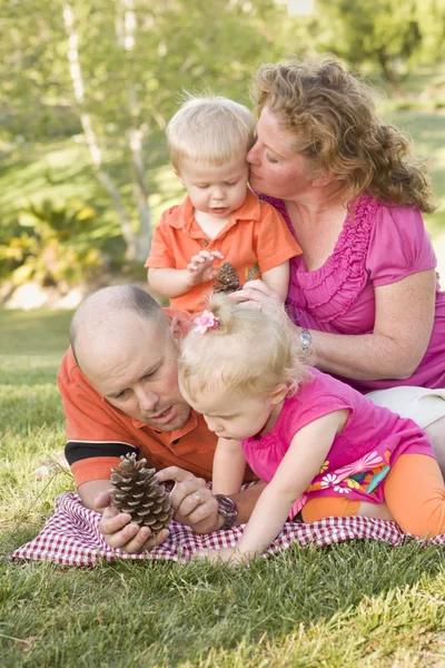 Mladá rodina mluví o šišky v parku — Stock fotografie