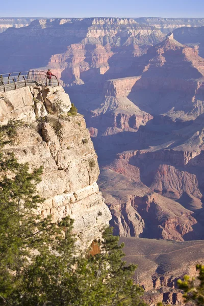 Mujer disfruta de la hermosa vista panorámica del Gran Cañón —  Fotos de Stock