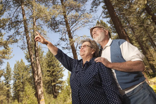 Aimer les couples de personnes âgées profiter du plein air — Photo