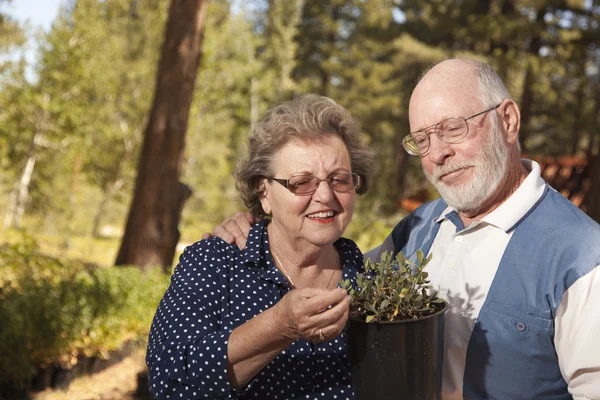 Attraktives Seniorenpaar mit Blick auf Topfpflanzen — Stockfoto