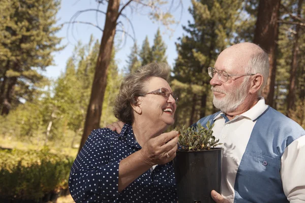 Attraente coppia anziana che si affaccia su piante in vaso — Foto Stock