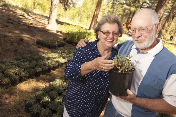Attractive Senior Couple Overlooking Potted Plants — Stock Photo, Image