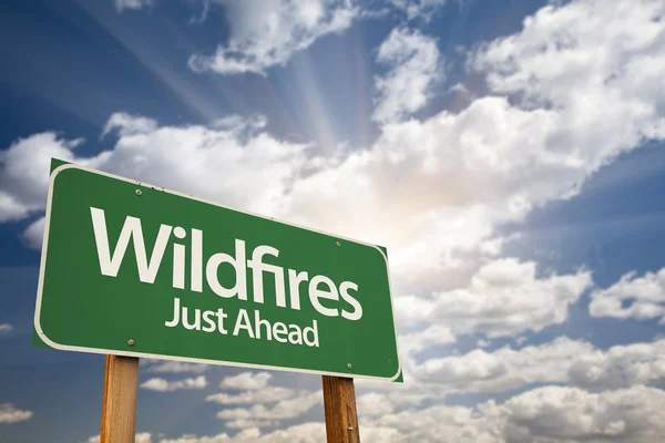 Лісові пожежі зелений дорожній знак — стокове фото